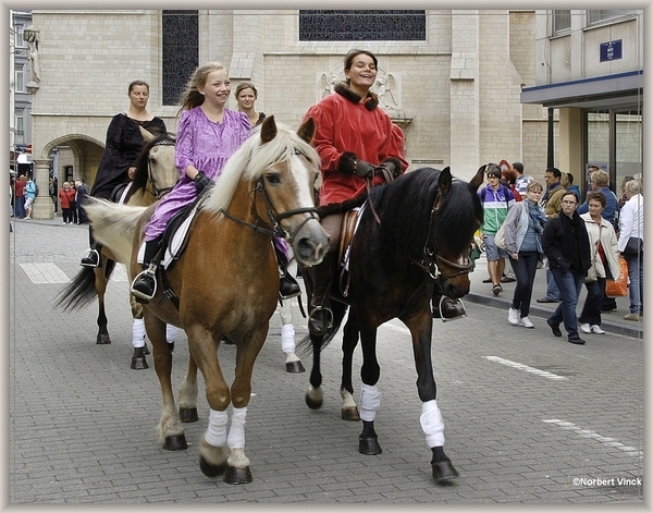 sized_sized_DSC31731a brussel -meiboom