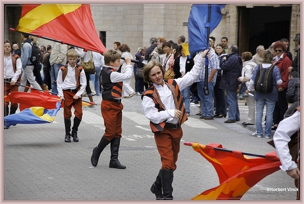 sized_sized_DSC31735a brussel -meiboom