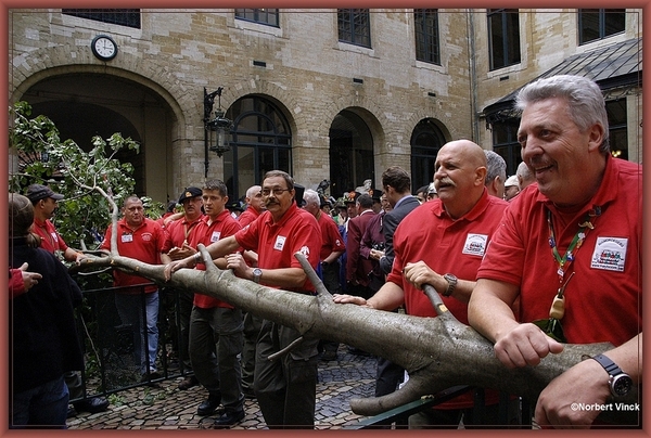 sized_sized_DSC31810a brussel -meiboom