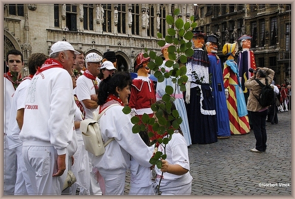 sized_sized_DSC31859a brussel -meiboom