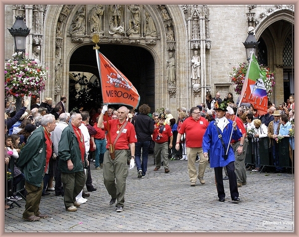 sized_sized_DSC31887a brussel -meiboom