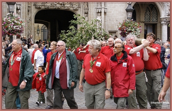 sized_sized_DSC31891a brussel -meiboom