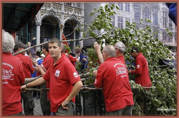 sized_sized_DSC31901a brussel -meiboom