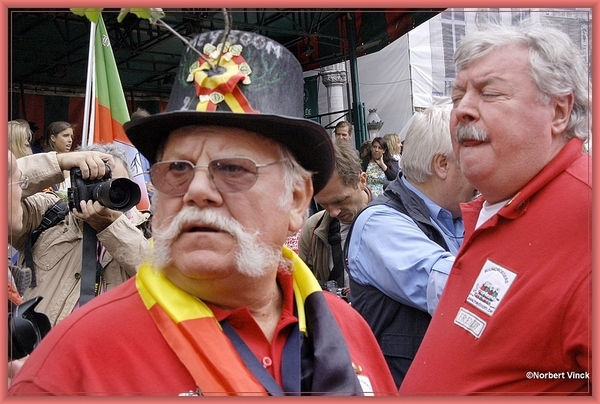 sized_sized_DSC31906a brussel -meiboom