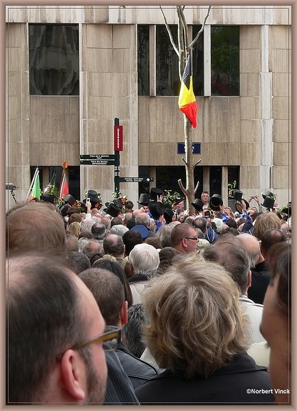 sized_sized_P2170490 Brussel meiboom