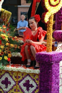 19 Bloemencorso St Gillis Dendermonde 4.09.2011