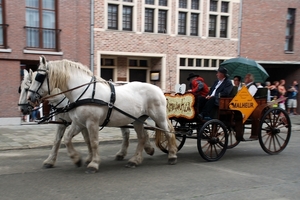 30 Bloemencorso St Gillis Dendermonde 4.09.2011