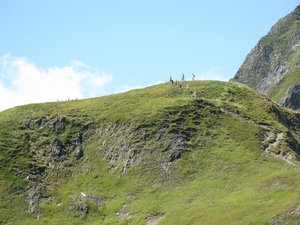 Oostenrijk 2-2011 138