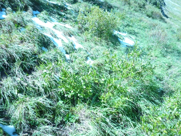 P1000815