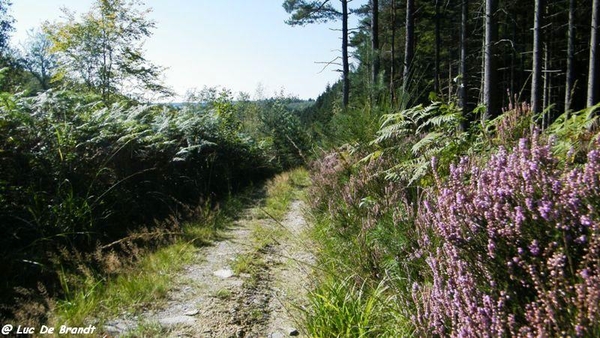 marche wandeling Oignies-en-Thirache