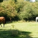 2011_09_03 Oignies-en-Thirache 031