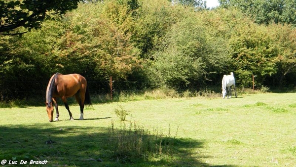 marche wandeling Oignies-en-Thirache