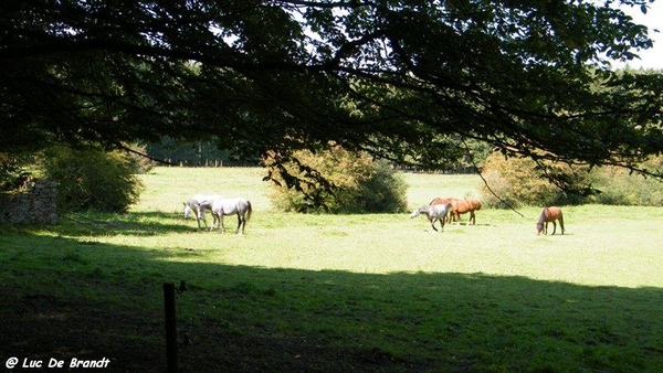 marche wandeling Oignies-en-Thirache