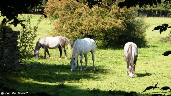 marche wandeling Oignies-en-Thirache