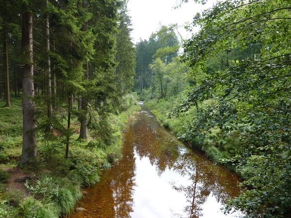 P1000651