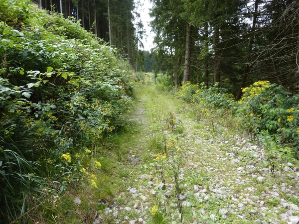 P1000658