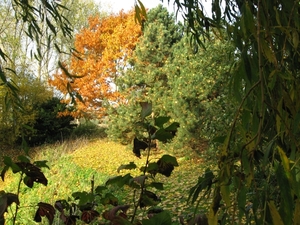 herfst kleuren 02