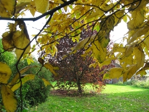 herfst kleuren 05