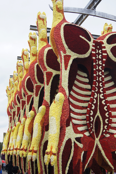 bloemencorso Zundert