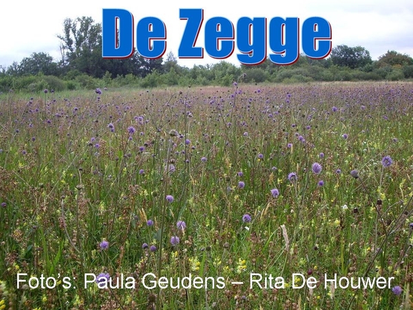 De Zegge