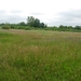 zegge 009