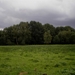 maar 't bleef droog