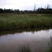 Daar deden we 't voor ,De Zwarte Beek