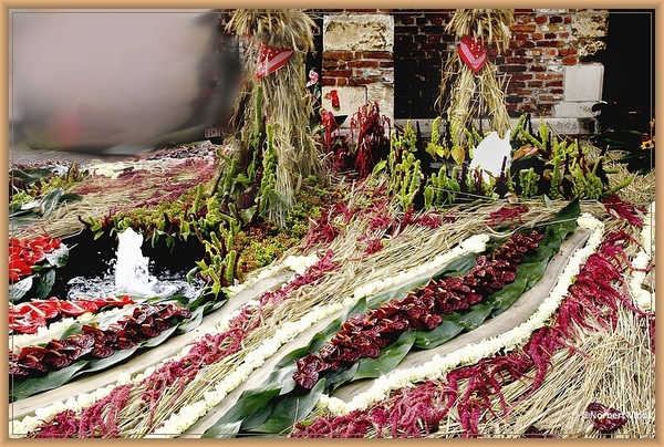 sized_sized_DSC30825a