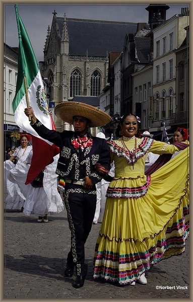 sized_sized_DSC31009a pikkeling 2011 aalst