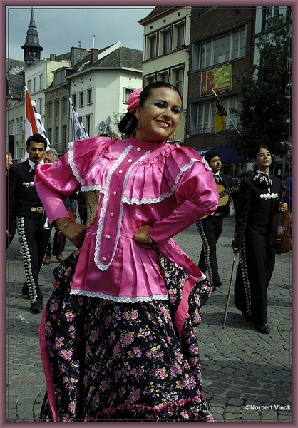 sized_sized_DSC31012a pikkeling 2011 aalst