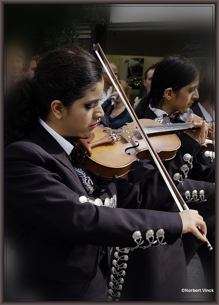 sized_sized_DSC31014a pikkeling 2011 aalst