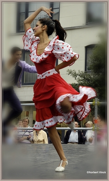 sized_sized_DSC31058a pikkeling 2011 aalst