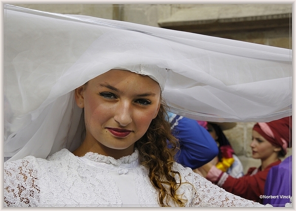 sized_sized_DSC31068a pikkeling 2011 aalst