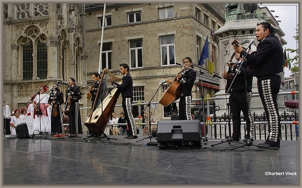 sized_sized_DSC31113a pikkeling 2011 aalst