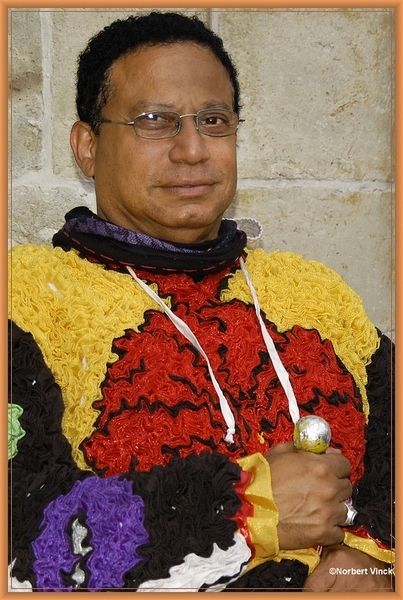 sized_sized_DSC31135a pikkeling 2011 aalst