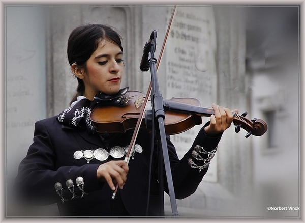 sized_sized_DSC31144a pikkeling 2011 aalst