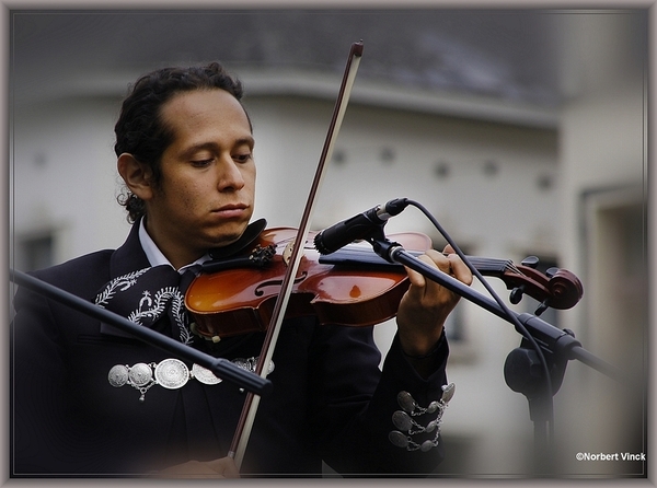 sized_sized_DSC31145a pikkeling 2011 aalst