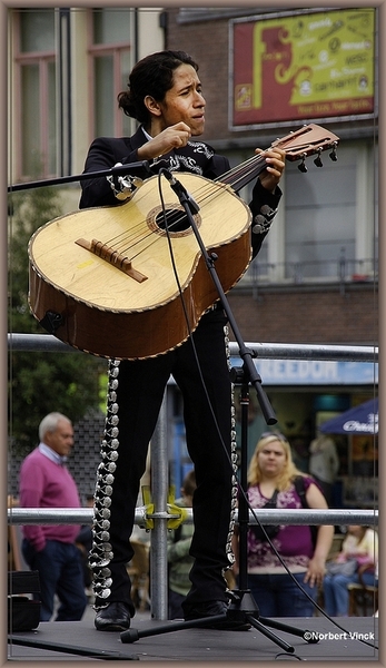 sized_sized_DSC31147a pikkeling 2011 aalst