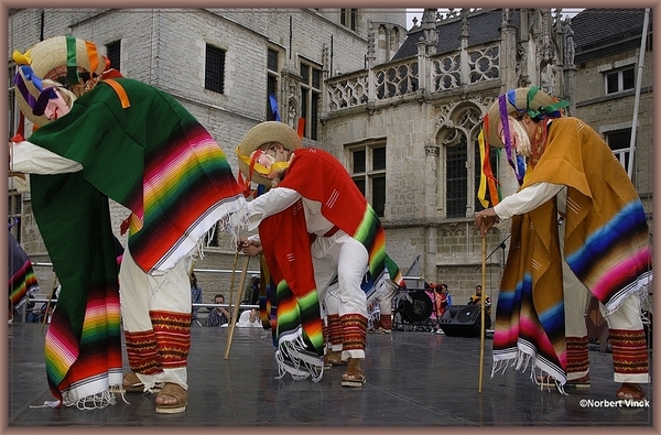 sized_sized_DSC31167a pikkeling 2011 aalst