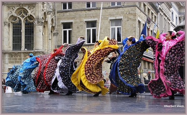 sized_sized_DSC31169a pikkeling 2011 aalst