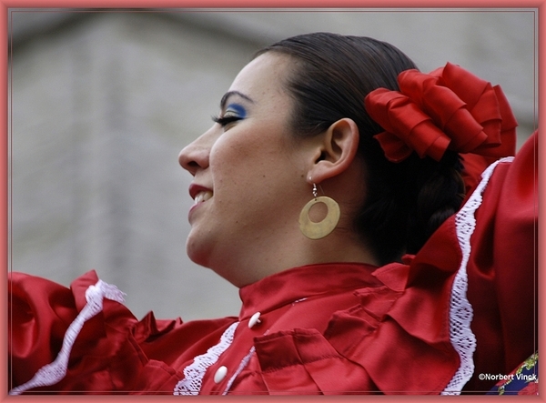 sized_sized_DSC31175a pikkeling 2011 aalst