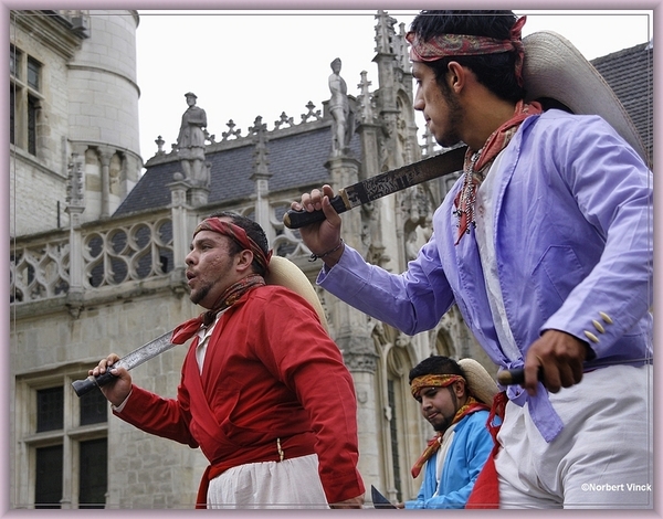 sized_sized_DSC31176a pikkeling 2011 aalst