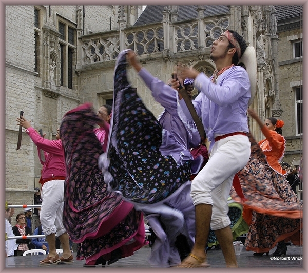 sized_sized_DSC31189a pikkeling 2011 aalst