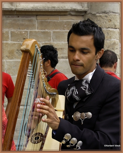 sized_sized_DSC31227a pikkeling 2011 aalst