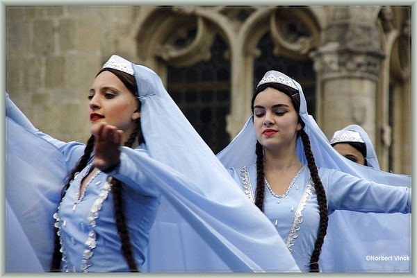 sized_sized_DSC31348a pikkeling 2011 aalst