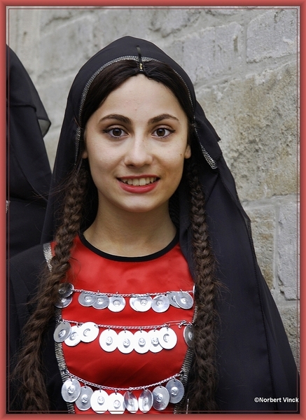 sized_sized_DSC31384a pikkeling 2011 aalst