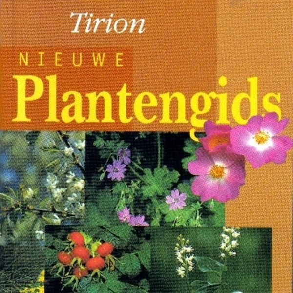 flora, planten, gids