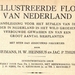 Gellustreerde flora van Nederland