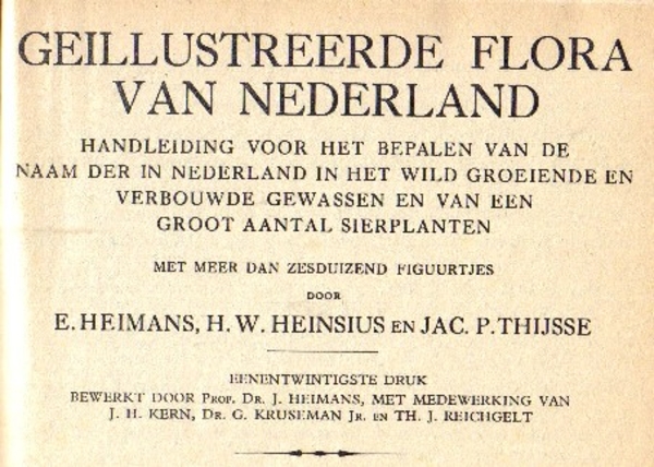 Gellustreerde flora van Nederland