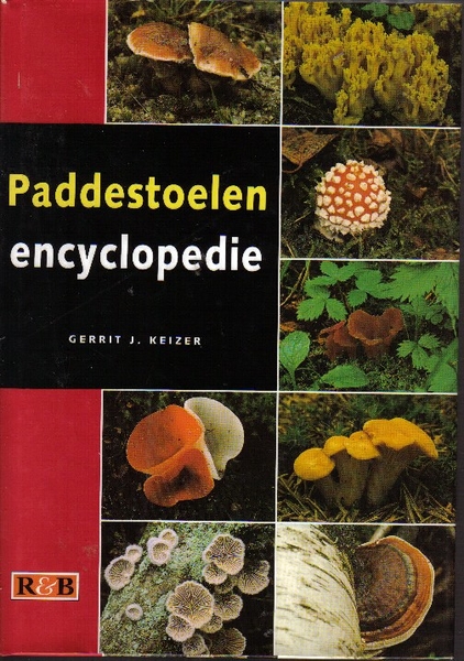 paddenstoelen